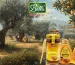 How to Spot Real Honey in Pakistan by bella foods