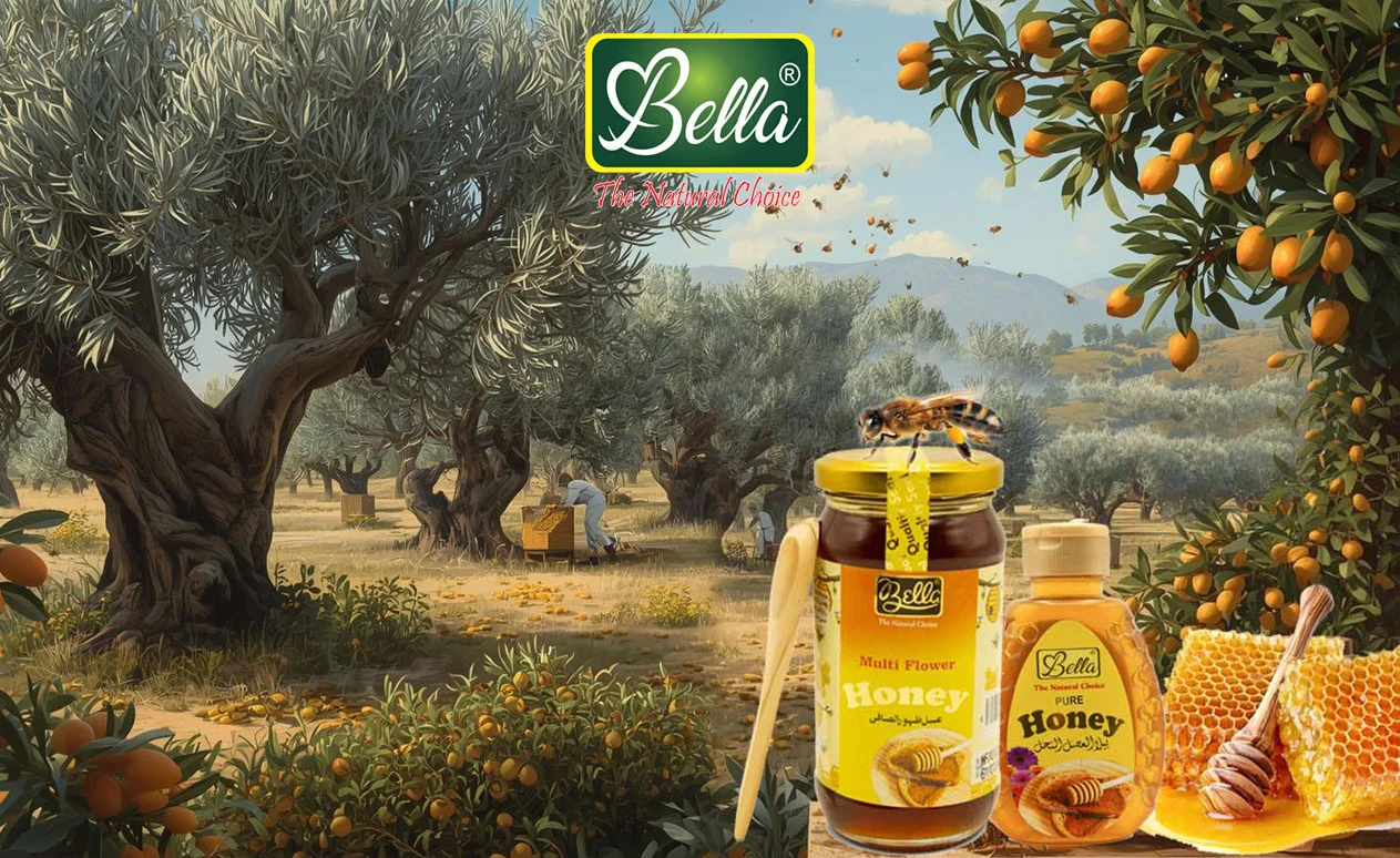 How to Spot Real Honey in Pakistan by bella foods